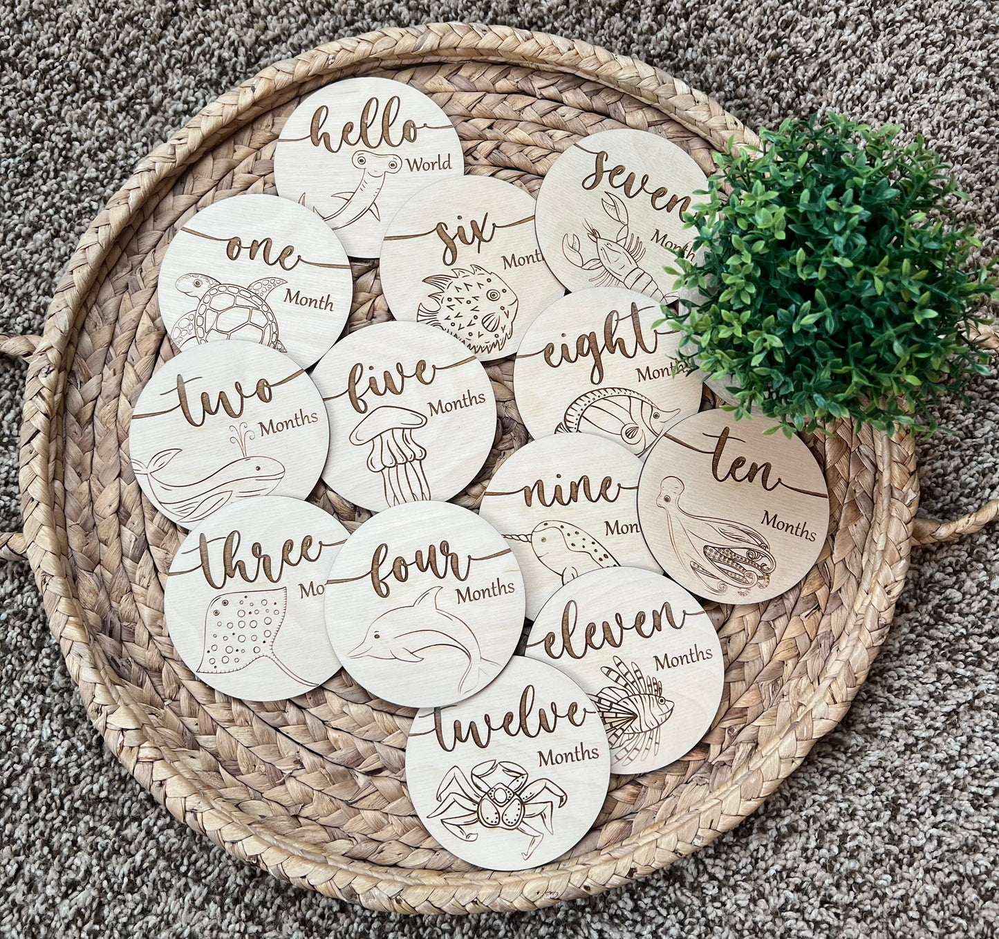 Birth Milestones Sea Creatures